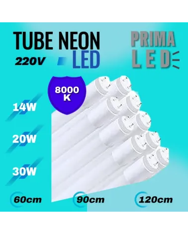 TUBE NEON LED