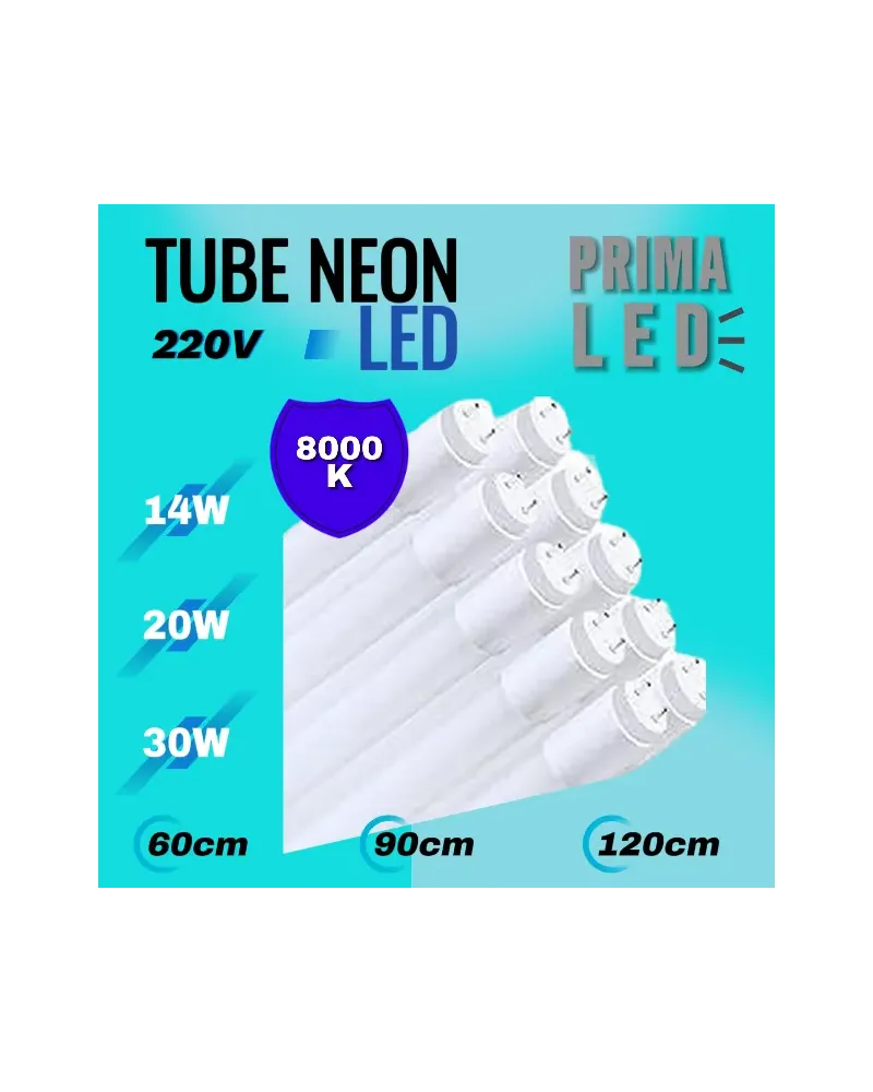 TUBE NEON LED