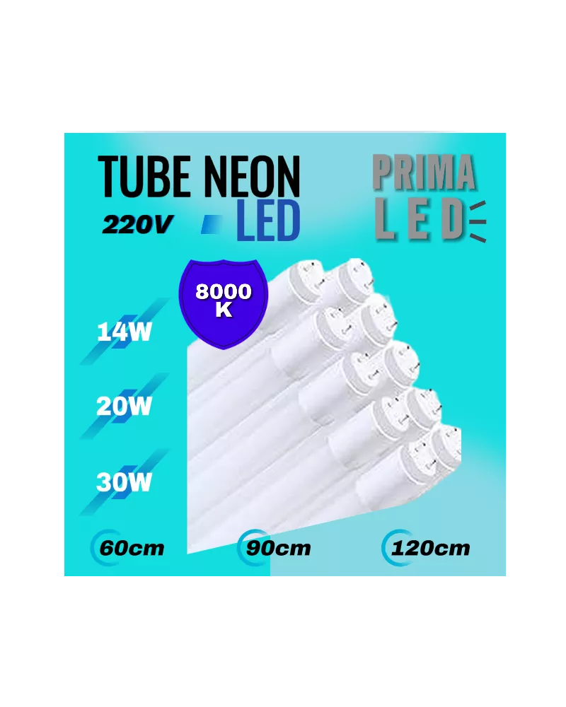 TUBE NEON LED 120