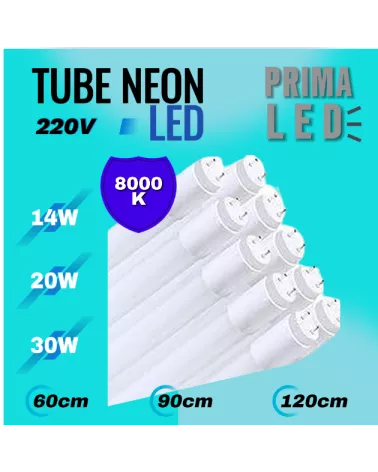 TUBE NEON LED 120